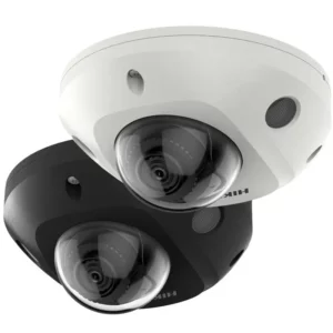 DS-2CD2543G2-IS